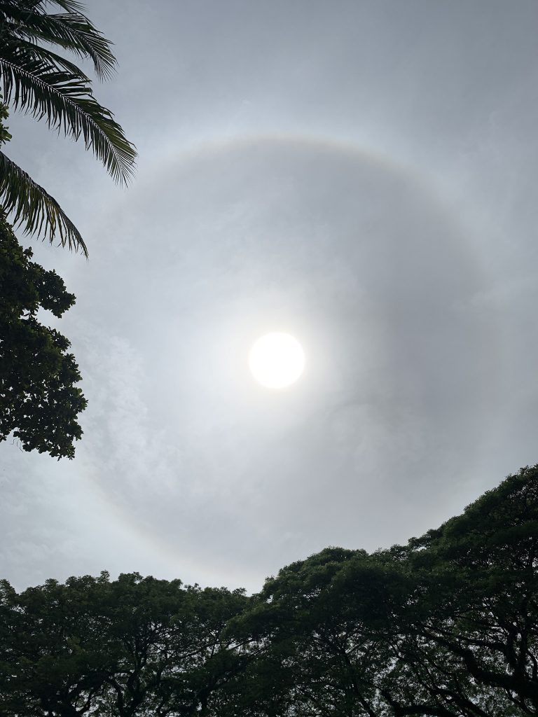 During Lockdown in Malaysia🇲🇾 | Yoga Bindu